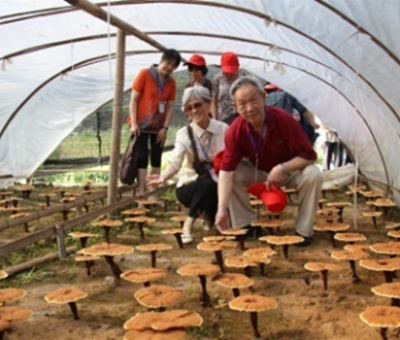 “七一勛章”獲得者張桂梅背后的故事：他們將靈芝磨成粉，送給她拌飯吃，說，吃這些能治病